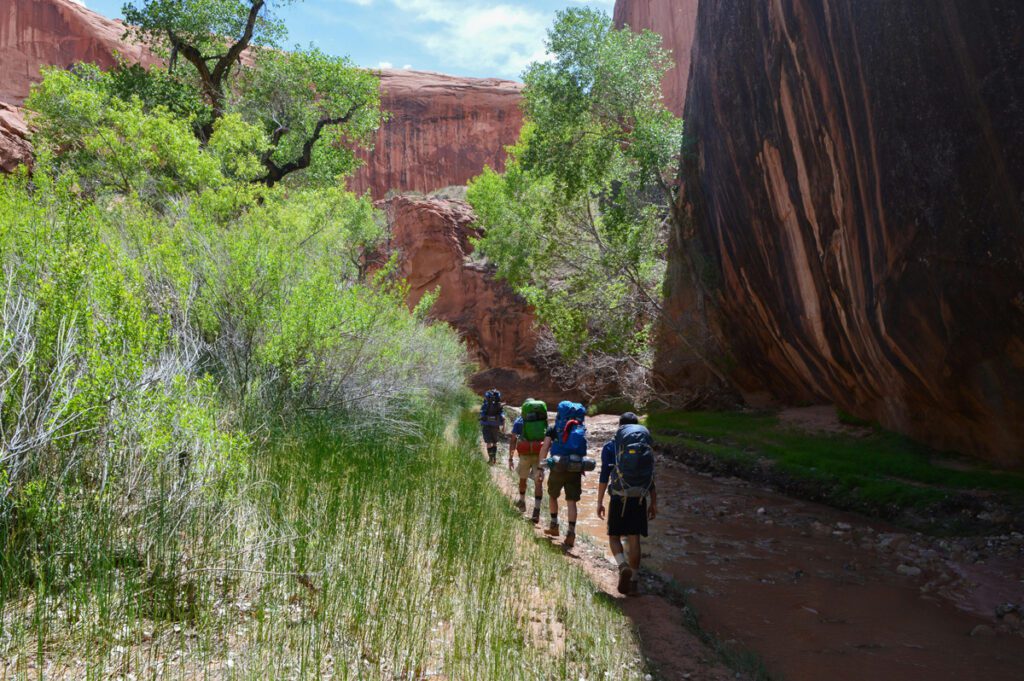 a group of backpackers on a trail