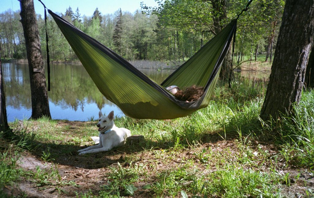 a person lying on a hammock with a dog below it