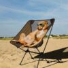 Dog sitting in KAMUI portable chair