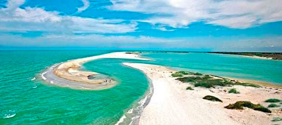 Cayo Costa State Park, Boca Grande