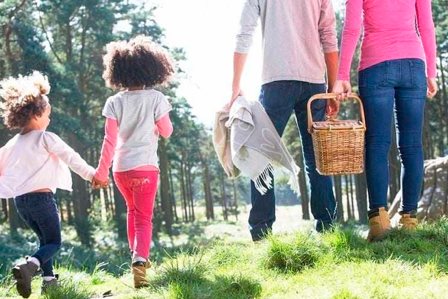 family picnic