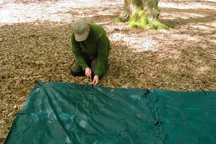 Laying Down Tarp For A Tent