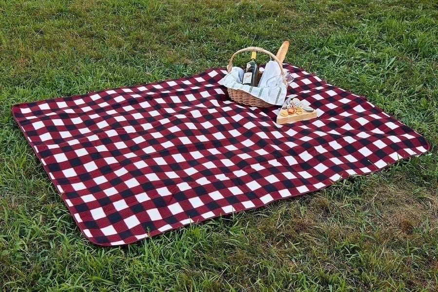 picnicking in park