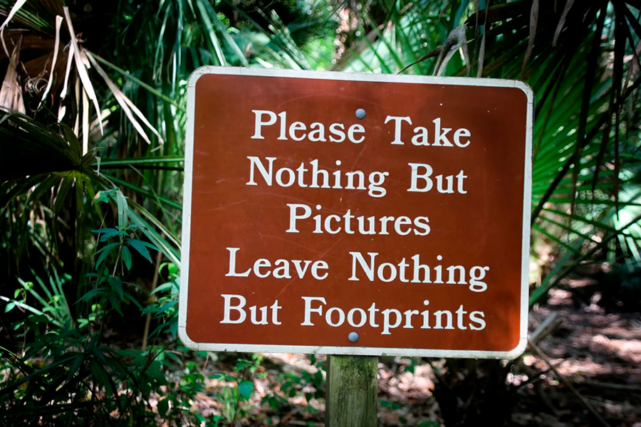 sign no littering
