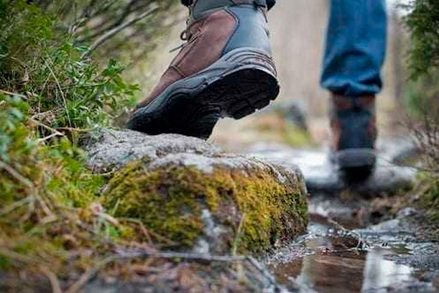 Hiking boots cheap for wet conditions