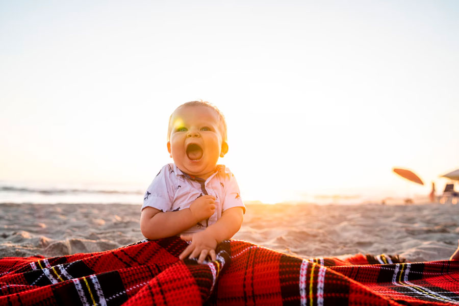 Femor discount picnic blanket