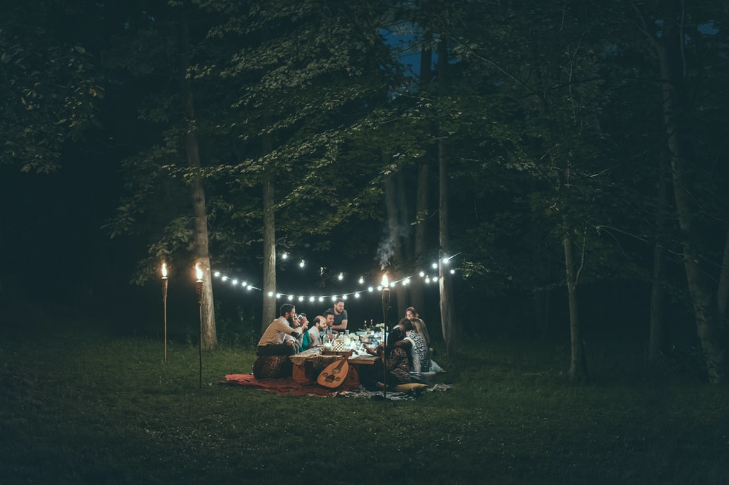 backyard picnic picnic party ideas adults