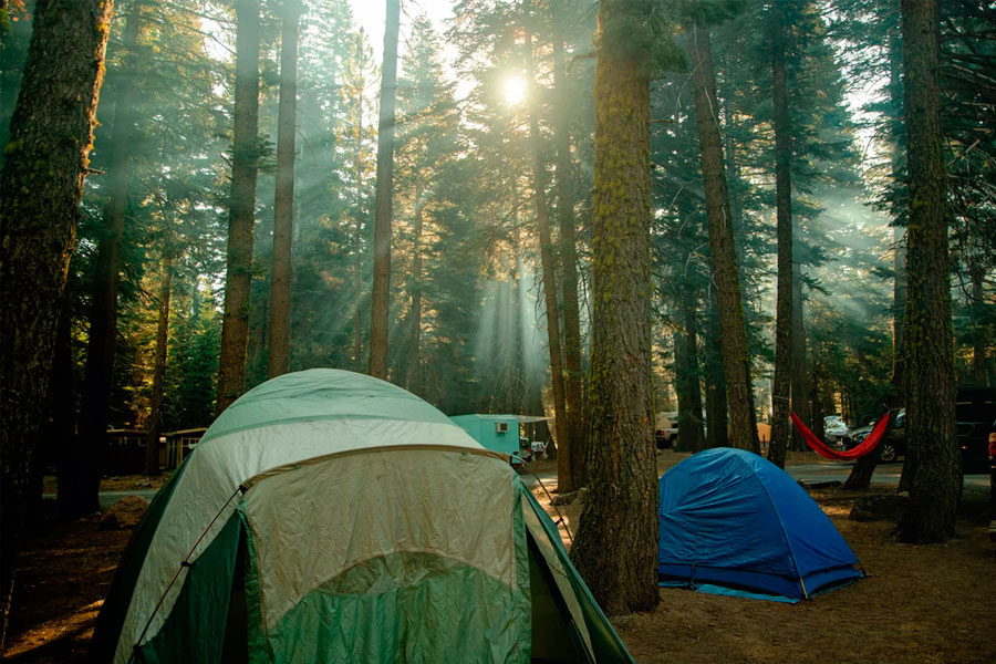 campsite in woods