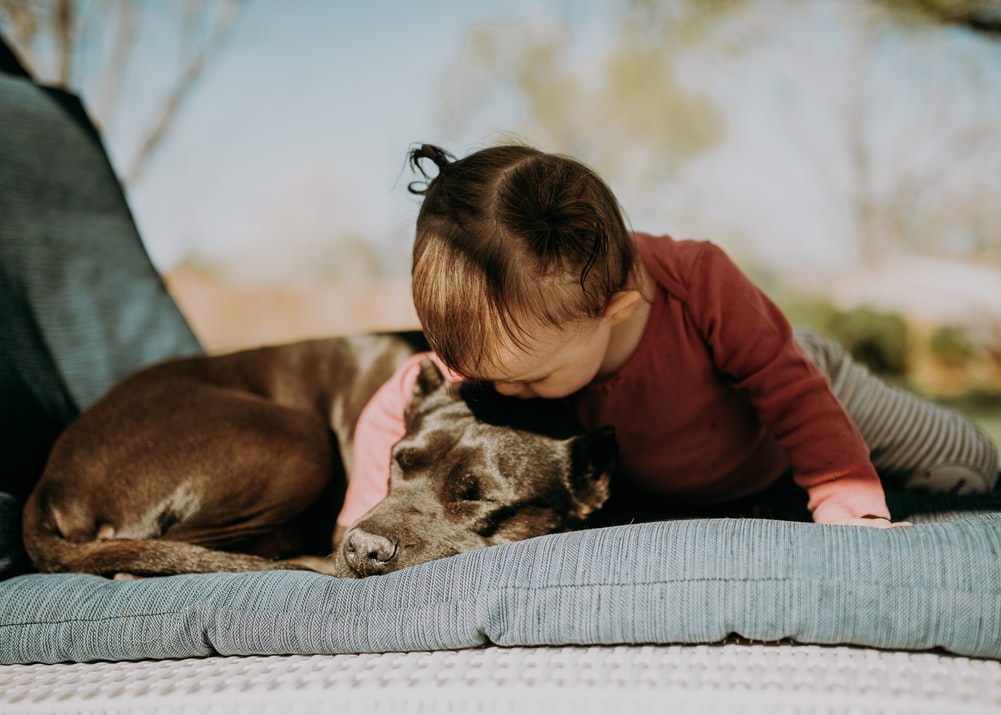 child and dog on sleeping pad