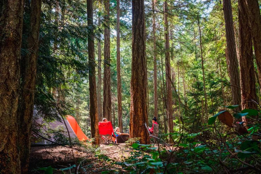 Camping with Family Checklist That Will Make Your Packing So Much