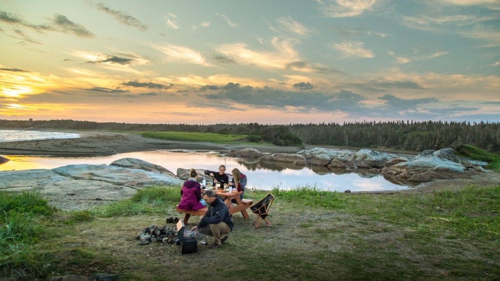 family picnic near lake