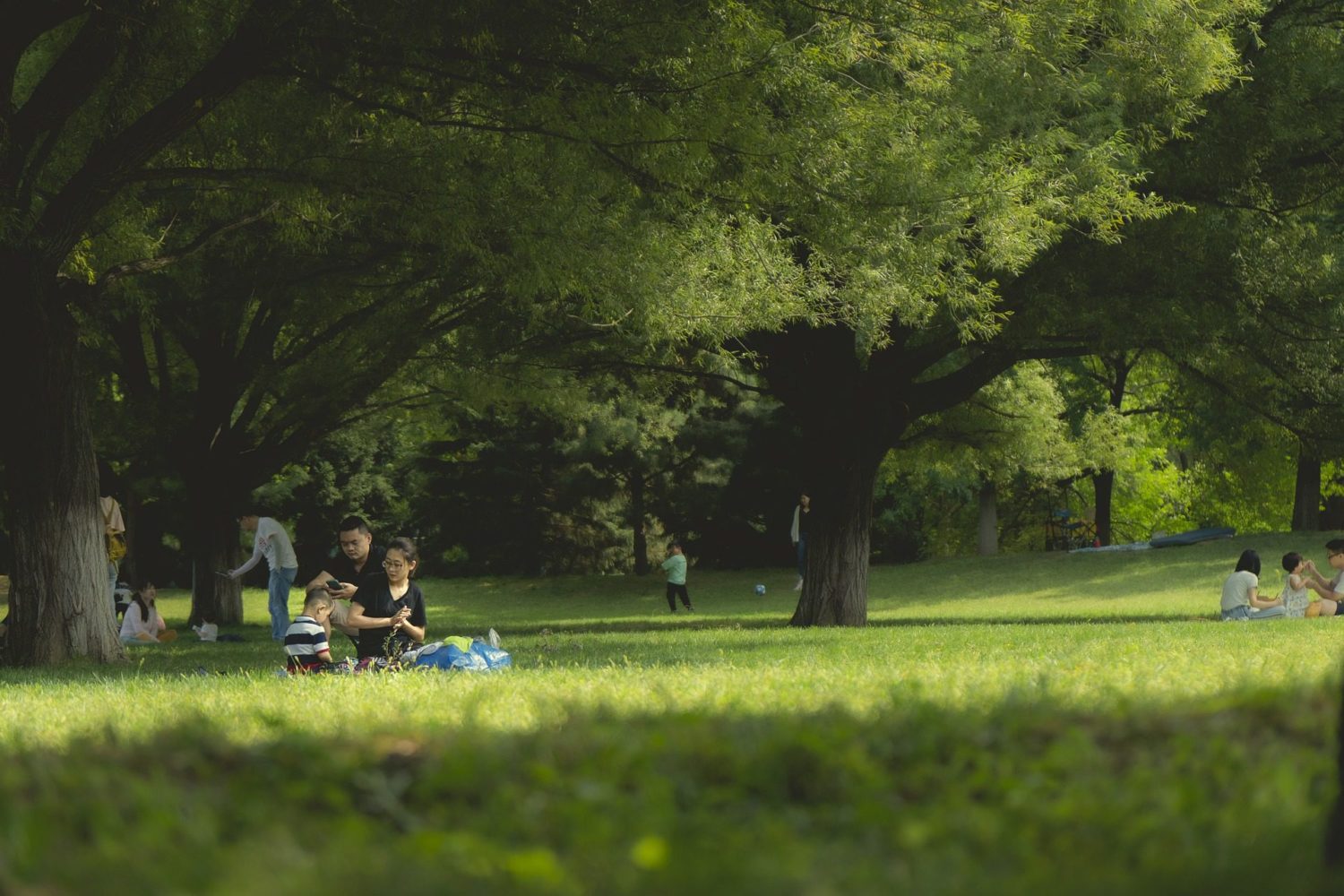 how big should a picnic blanket be