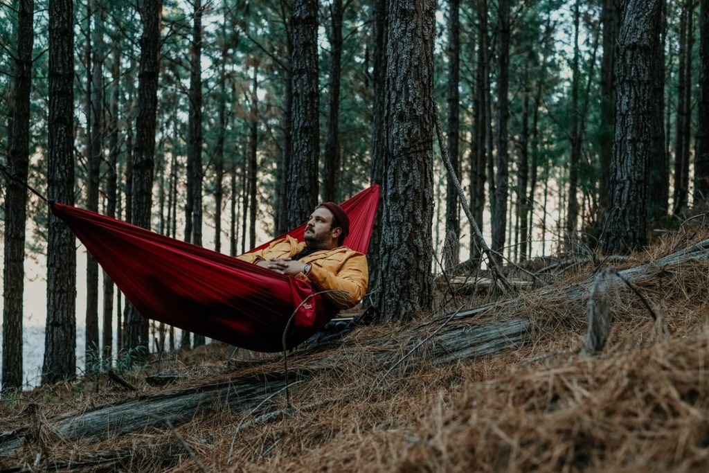 man in forest