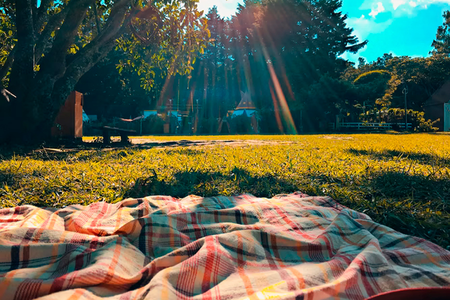 Family size picnic discount blanket