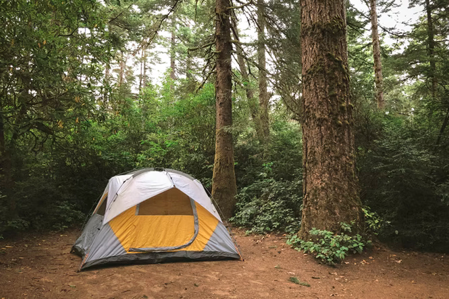 set up tent in forest