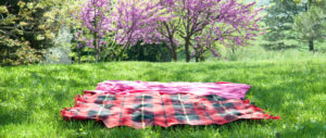 diy picnic blanket