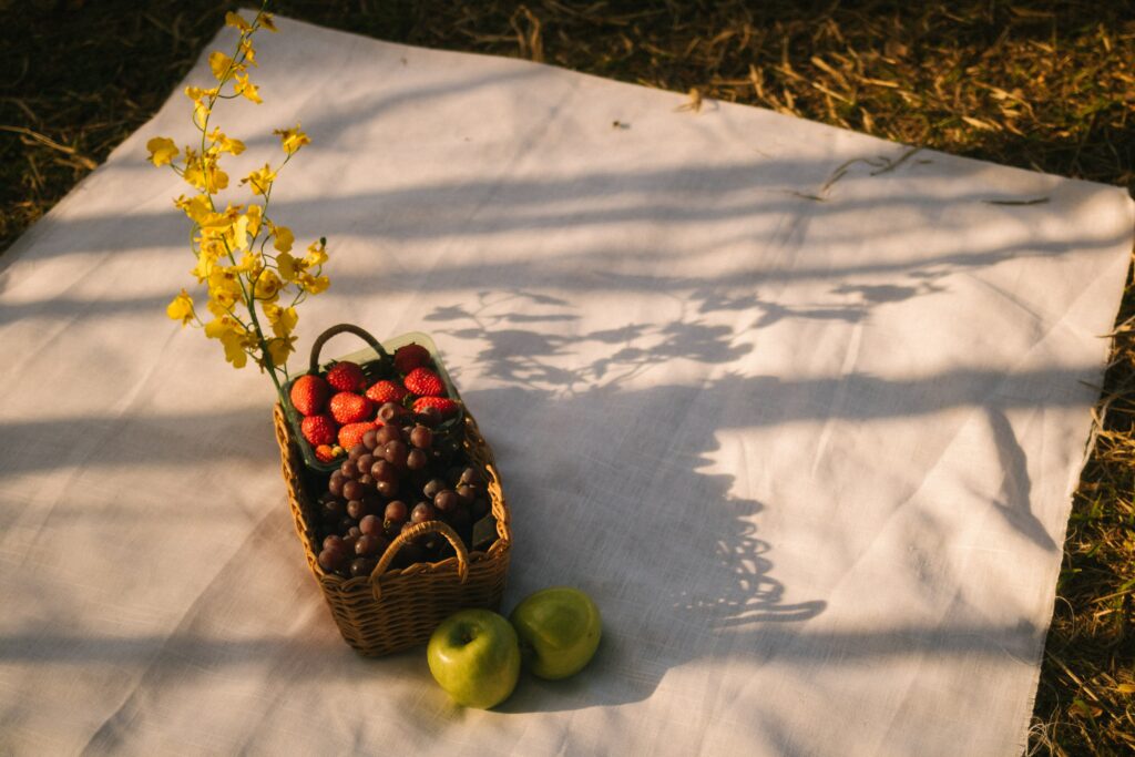 picnic blanket