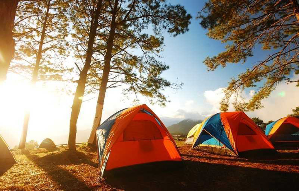 summer camping- tent