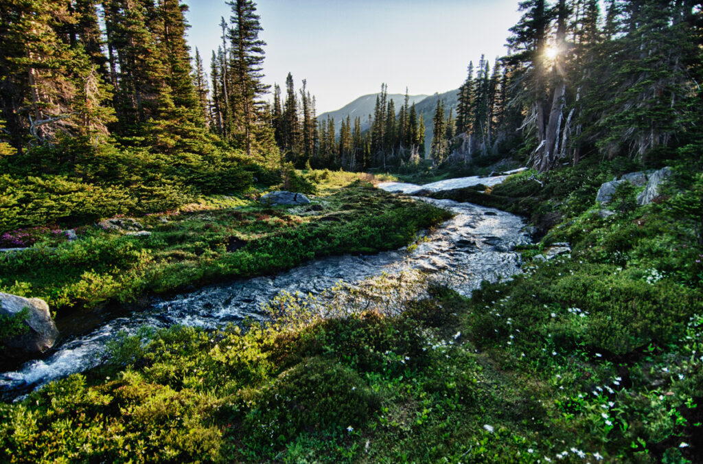 Olympic National Park, WA