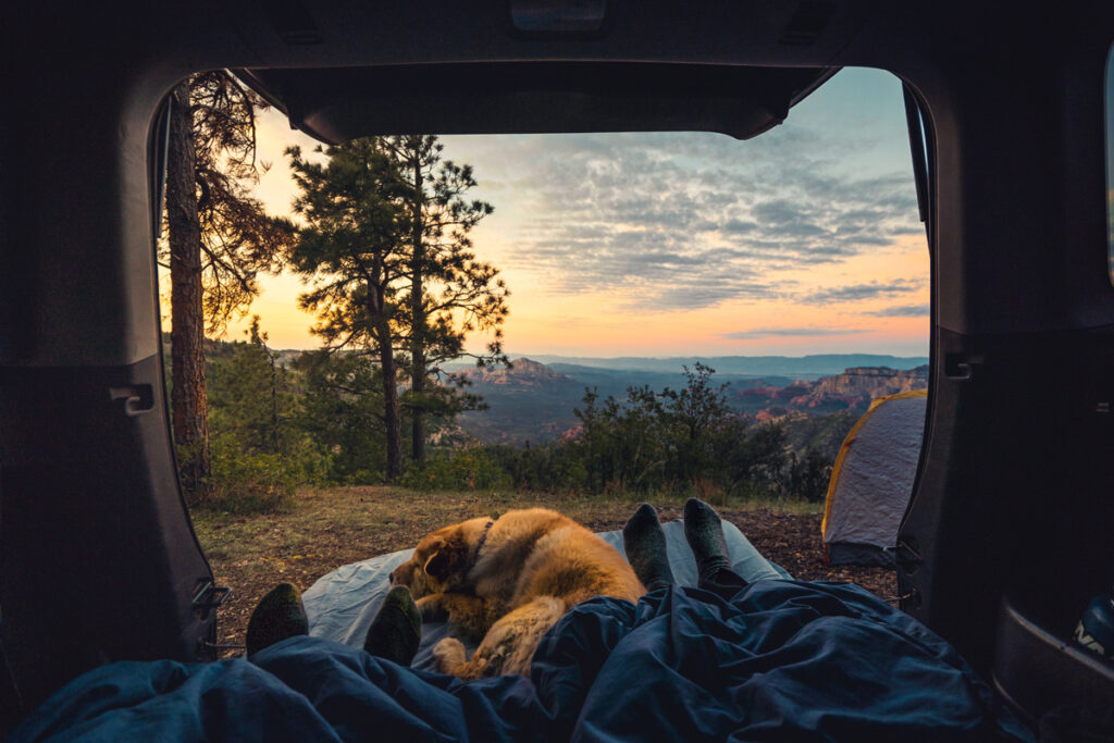 Pet-friendly Campsite in California