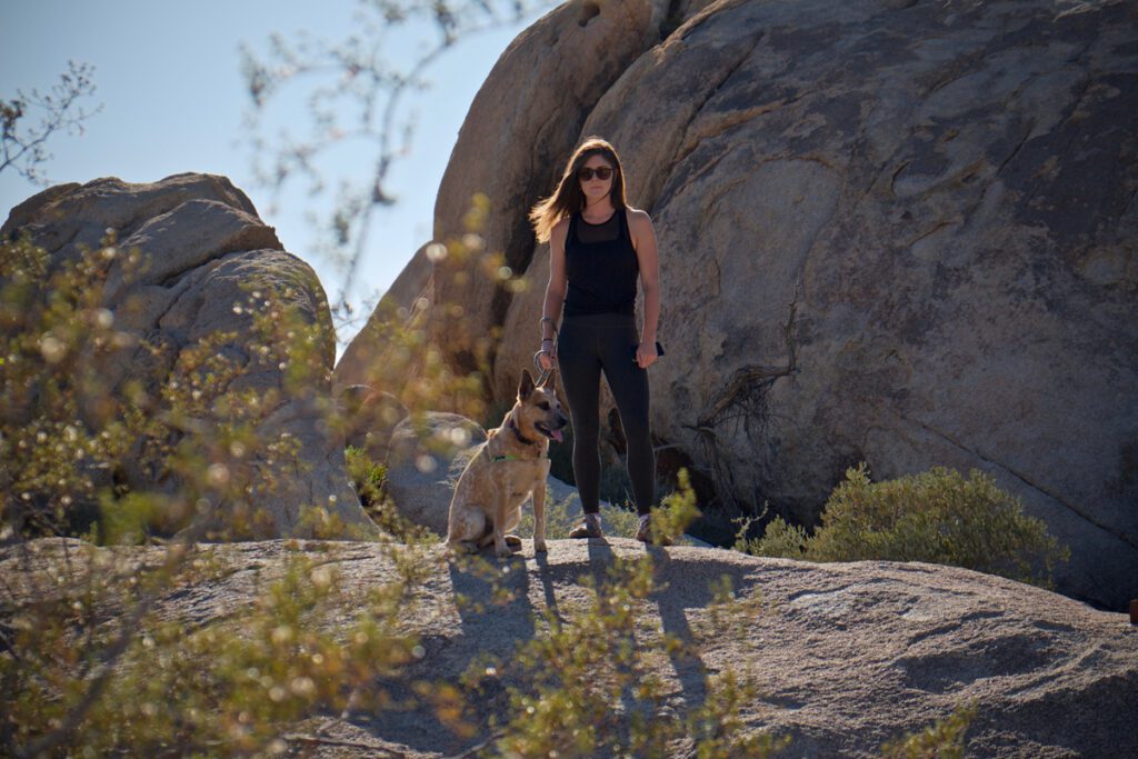 Pet-friendly campsite in Joshua Tree CA