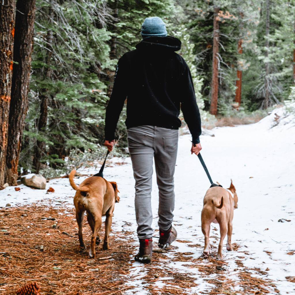 Pet-friendly site in Lake Tahoe