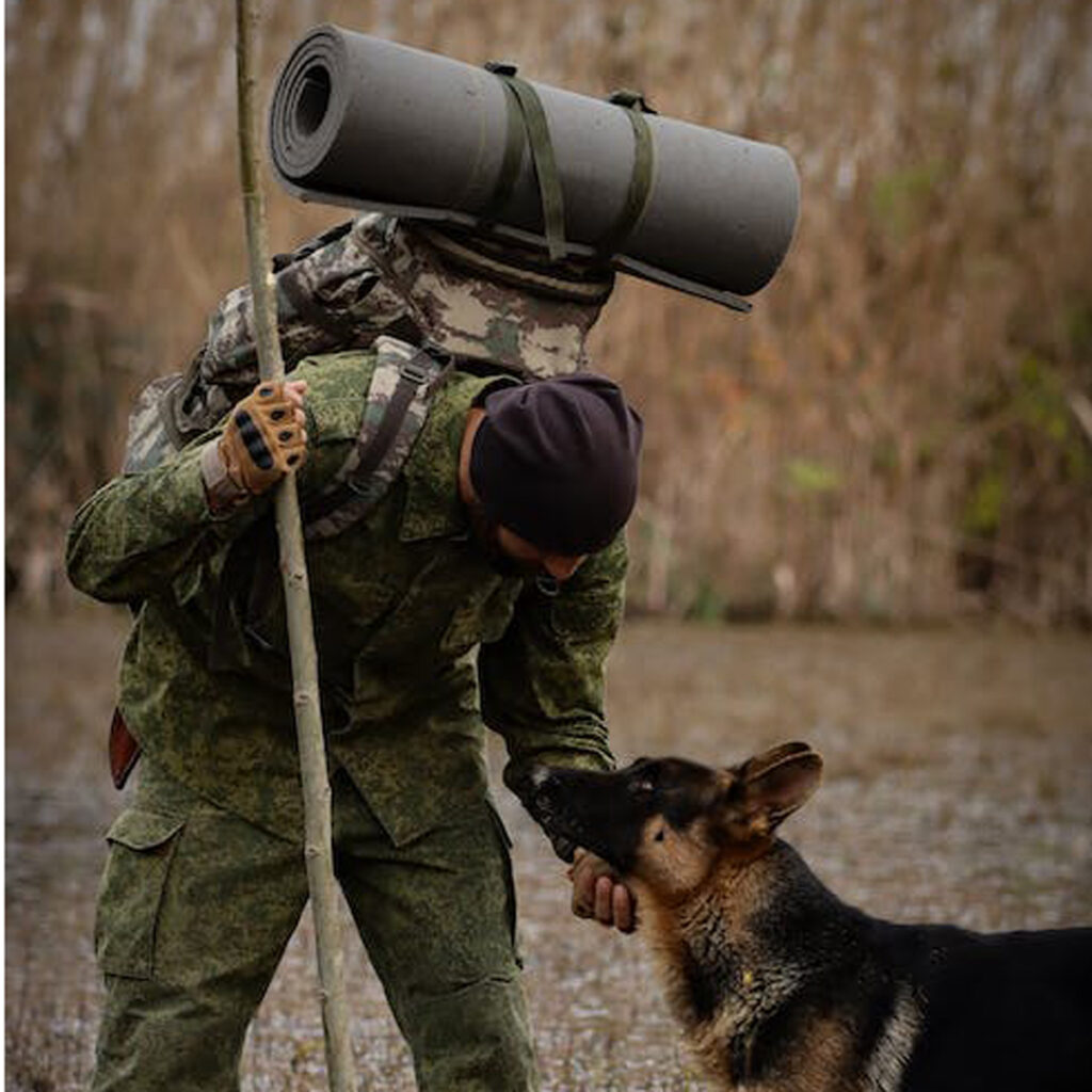 a soldier and canine