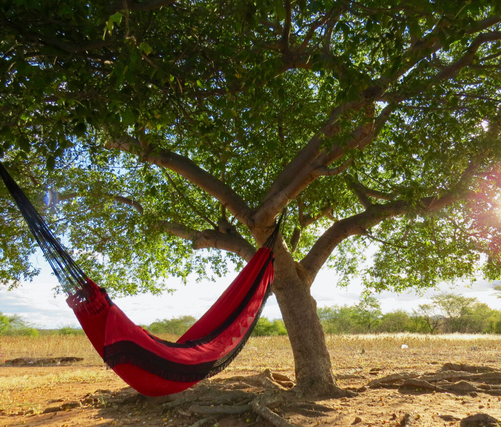 A hammock setup