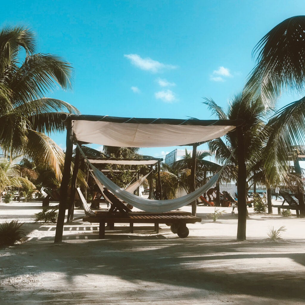 Hammock under a tarp