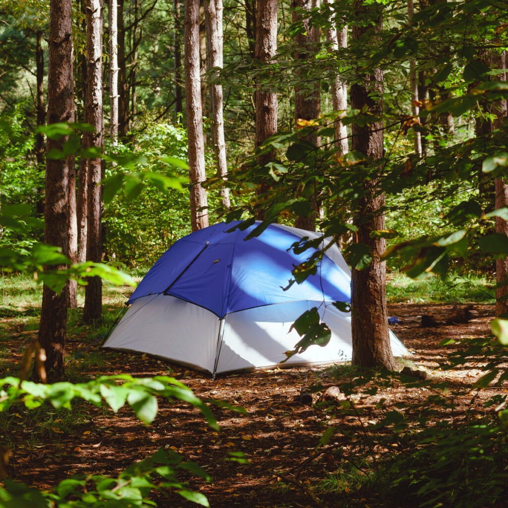 Tent under trees