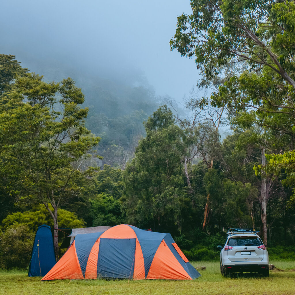 Car camping in a forested area