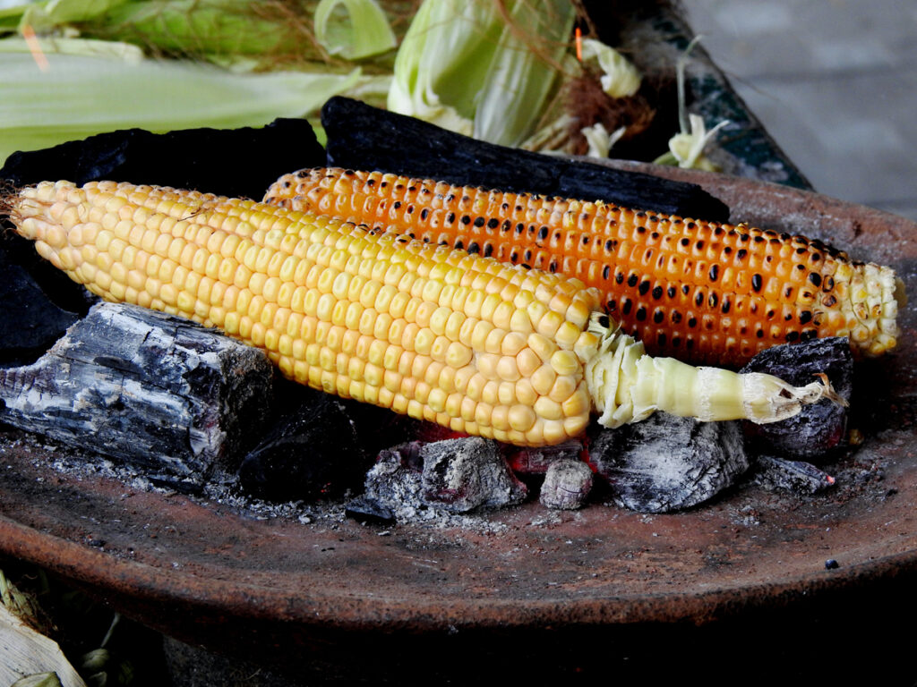 grilling corn on the cob