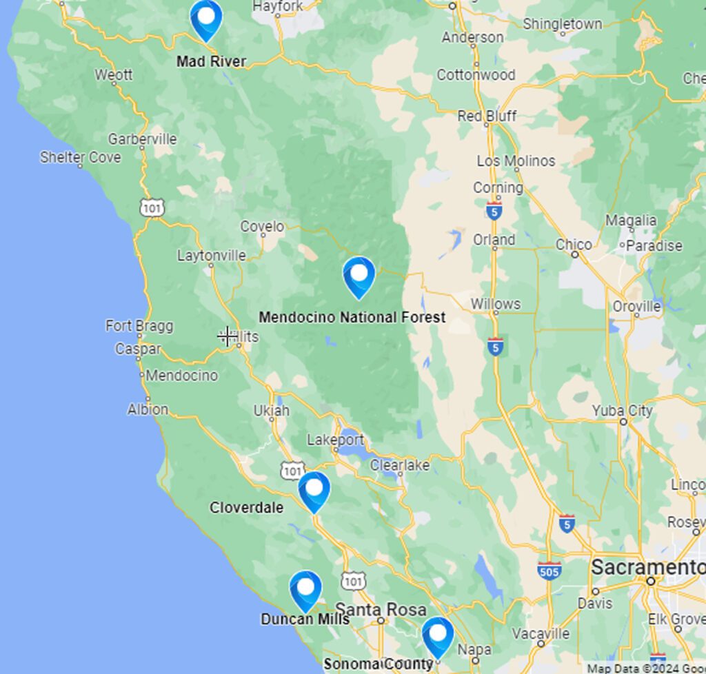 Petfriendly Campsites in Northern California