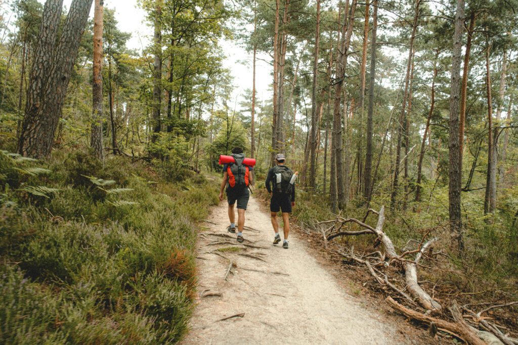 Two men hiking with with outdoor gear on their backs
